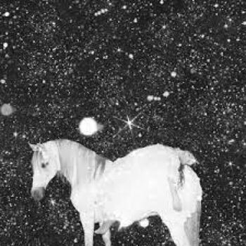 Black Lips Apocolypse Love