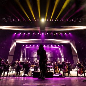 DW_Synthony in the Domain_-41