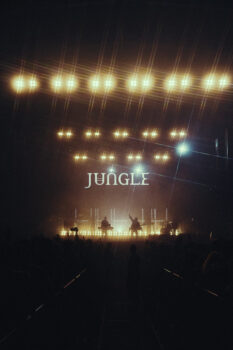 Jungle