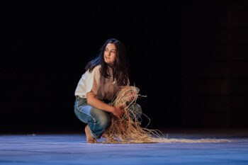 The Haka Party Incident