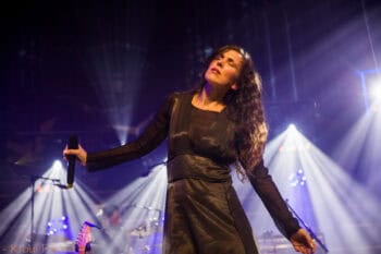 Flying Nun - Reb Fountain