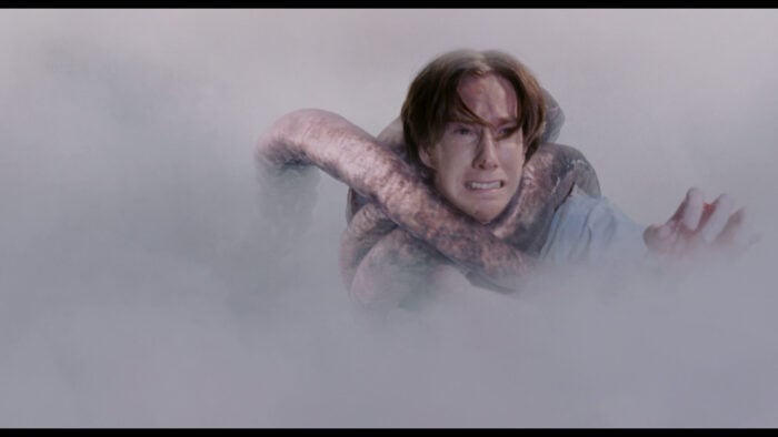 The Mist - Halloween