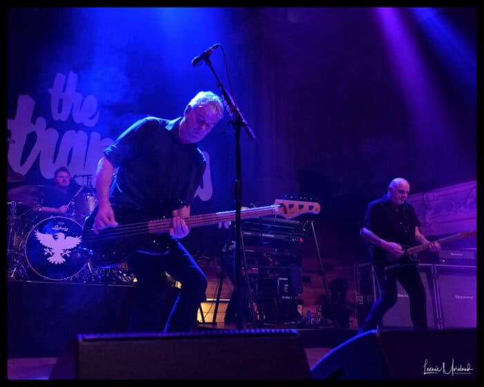 The Stranglers