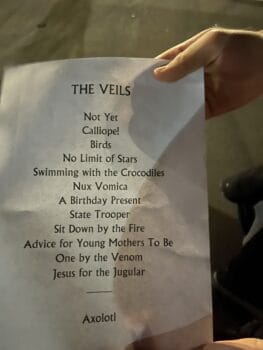 The Veils