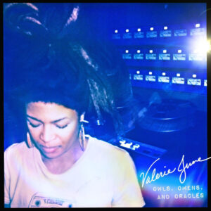 Valerie June Owls