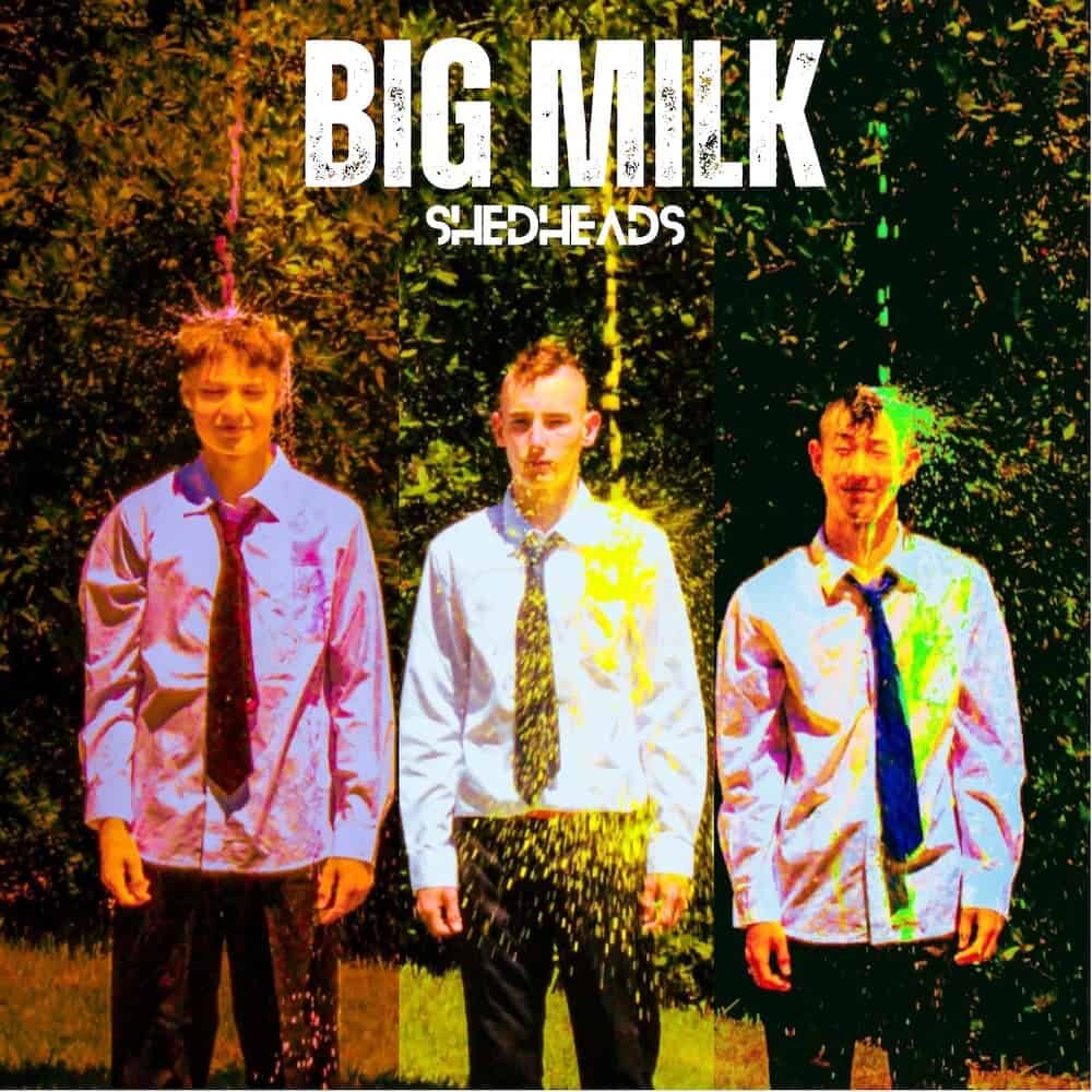BigMilkAlbumCover