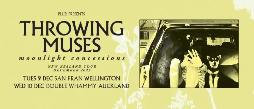 Throwing Muses Banner