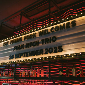 AA_FolkBitchTrio_TuningFork-7253