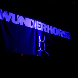 wunderhorse1