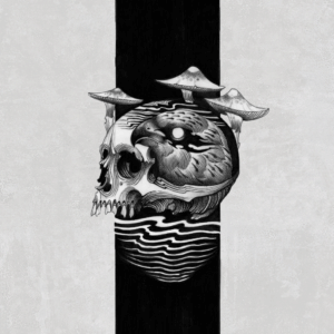 Erase Everything - Cover Artwork